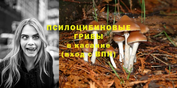 твердый Баксан